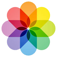 首页最新用户排行